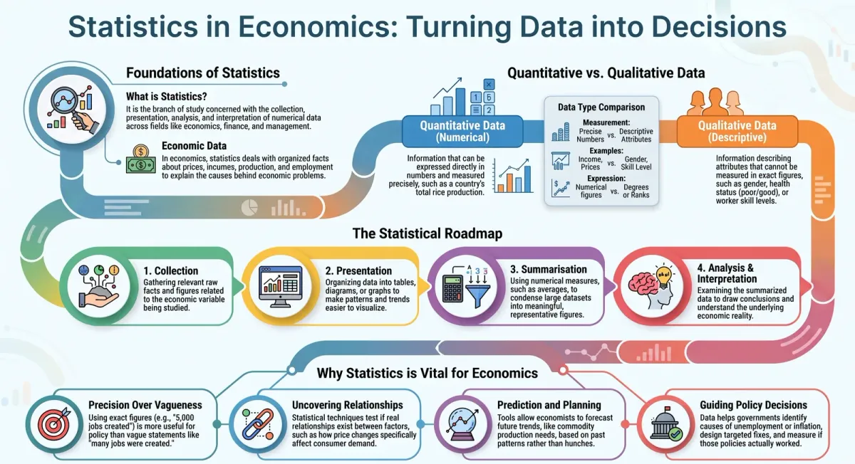 Role and Importance of Statistics in Economics (Class 11) cover image